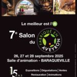 Salon du Fabriqué en Aveyron Salon du Fabriqué en Aveyron